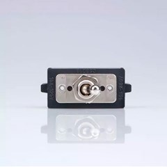 Interruptor Bip. 15a Cs-301b