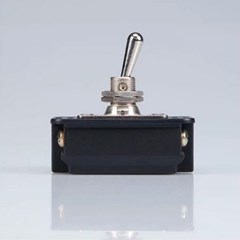 Interruptor Bip. 20a Cs-301a