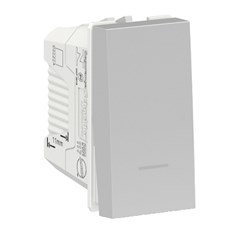Módulo Interruptor Simples 10a Orion Alumínio - Schneider