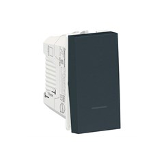 Módulo Interruptor Simples 10a Orion Grafite - Schneider