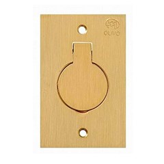 Placa Piso 4x2 C/Tomada 20a Latão - Olivo