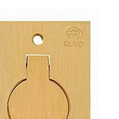 Placa Piso 4x2 C/Tomada 20a Latão - Olivo