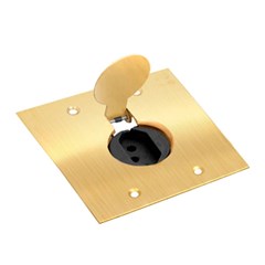 Placa Piso 4x4 C/Tomada 20a Latão - Olivo