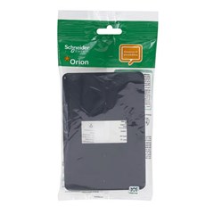 Placa 1 Posto 4x2 Orion Stellar Black - Schneider
