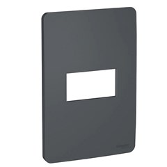 Placa 1 Posto 4x2 Orion Stellar Black - Schneider