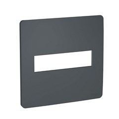 Placa 2 Postos 4x4 Orion Stellar Black - Schneider