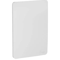 Placa Cega 4x2 Prata Orion Gamma Silver - Schneider