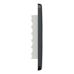 Placa 2 Posto 4x4 Miluz Grafite - Schneider
